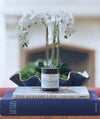 Breckenridge Holiday Candle
