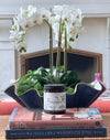 Barcelona Holiday Candle