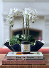 Santa Barbara Holiday Candle