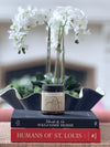 Saint Louis Holiday Candle